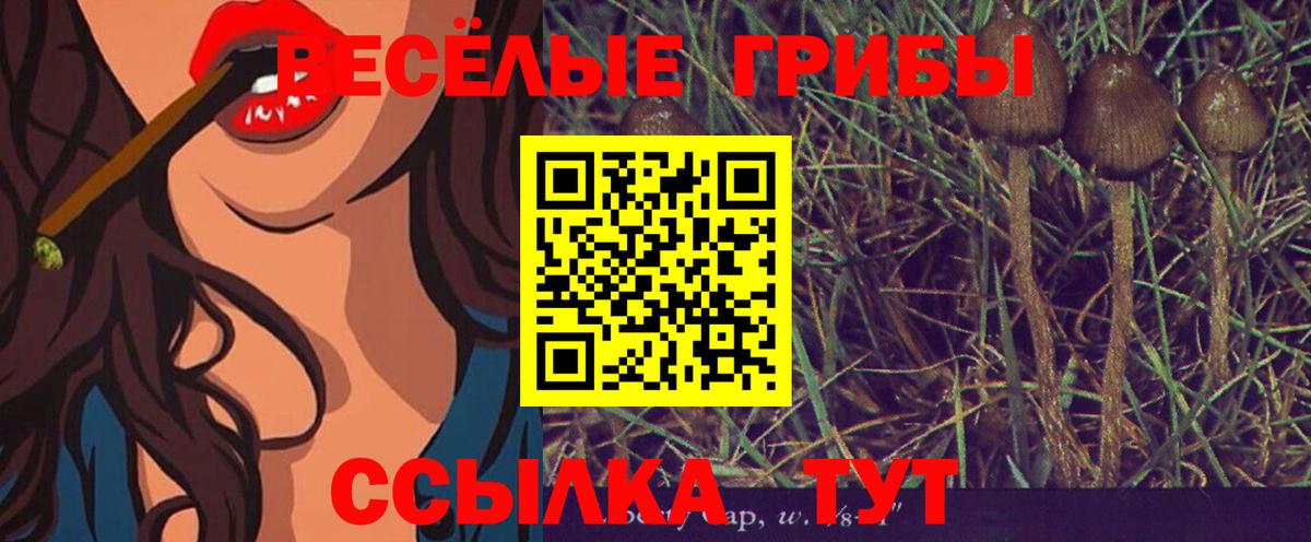 Псилоцибиновые грибы прущие грибы  Вход с VPN  Сыктывкар 