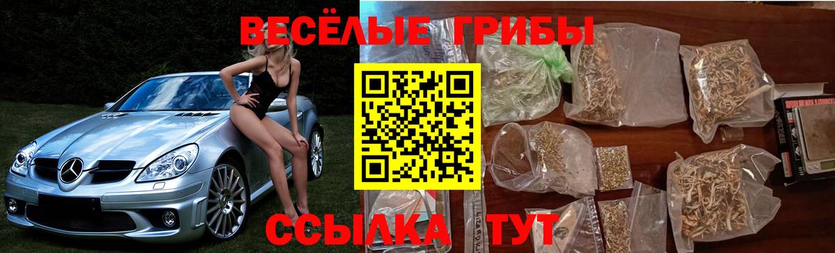 Галлюциногенные грибы GOLDEN TEACHER Сыктывкар